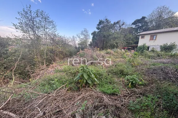 Terreno para venda,  Salgado Filho, Caxias Do Sul