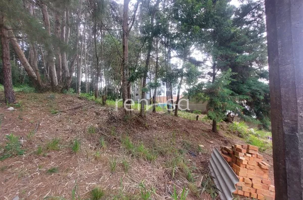 Terreno para venda, Colina Sorriso, Caxias Do Sul