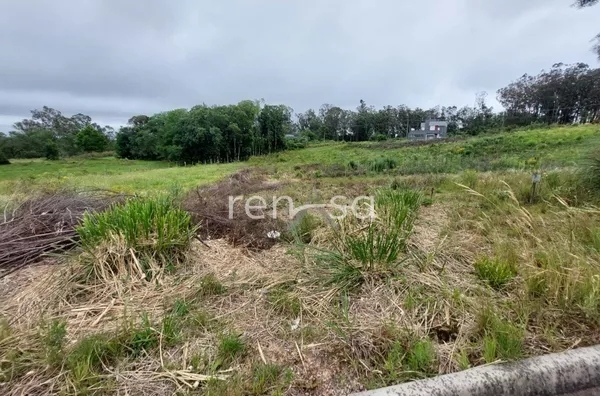 Terreno para venda, São Giacomo/ Reserva Do Vale, Caxias Do Sul