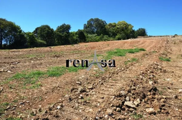 c10b79031fede88e2b316cf27a530fa8