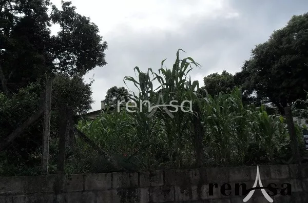 Terreno, Rio Branco, Caxias do Sul