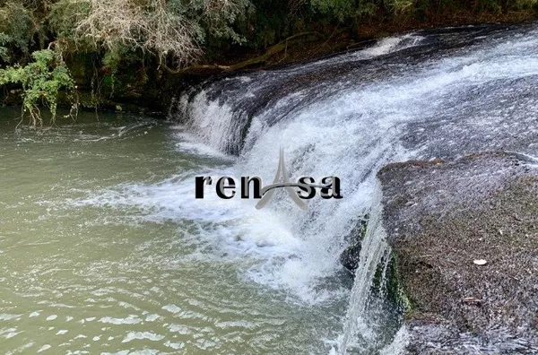 WhatsApp Image 2022-06-13 at 17.55