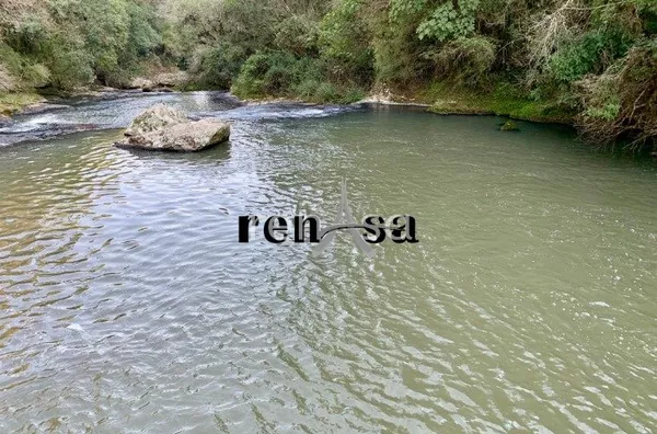 WhatsApp Image 2022-06-13 at 17.55