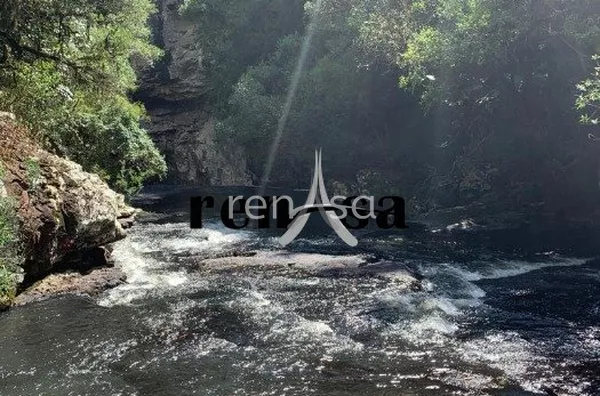 WhatsApp Image 2022-06-13 at 17.55