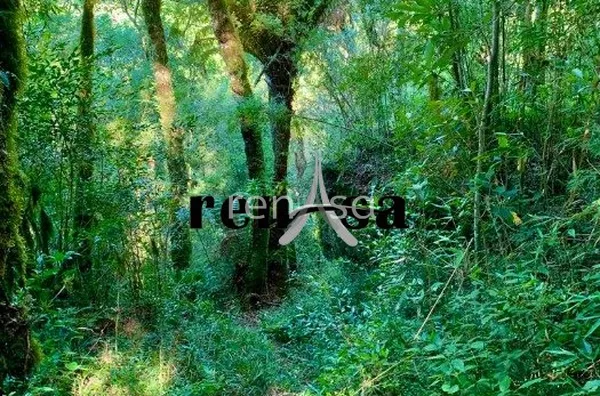 WhatsApp Image 2022-06-13 at 17.55