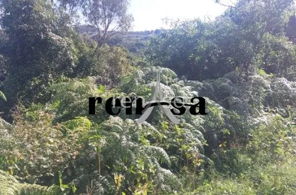 Terreno, Colina Do Sol, Caxias do Sul