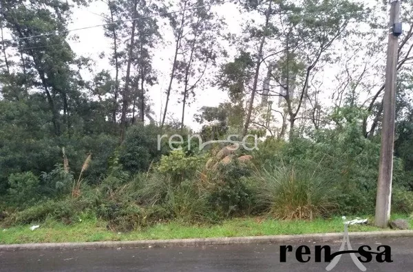 Terreno, Desvio Rizzo, Caxias do Sul