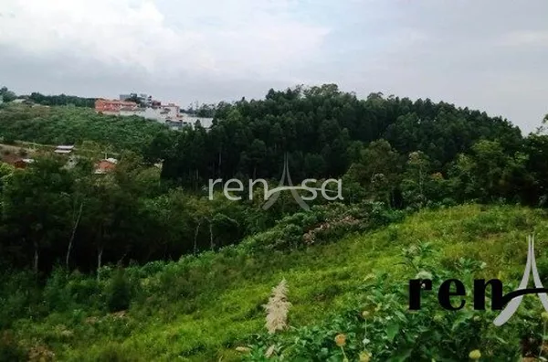 Terreno, Desvio Rizzo, Caxias do Sul