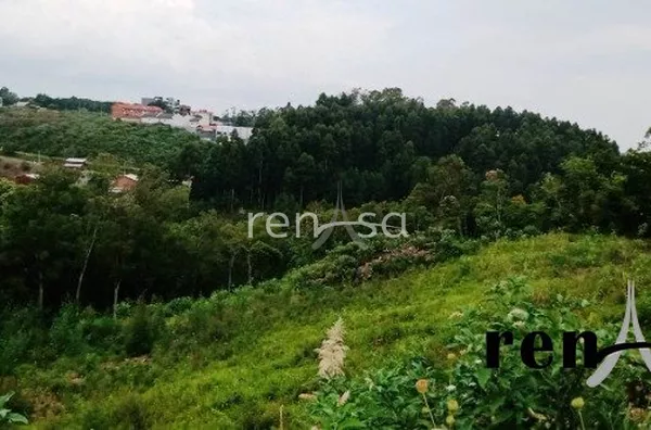 Terreno, Desvio Rizzo, Caxias do Sul