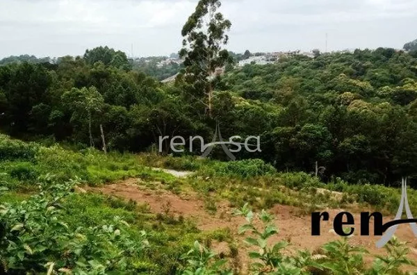 Terreno, Desvio Rizzo, Caxias do Sul