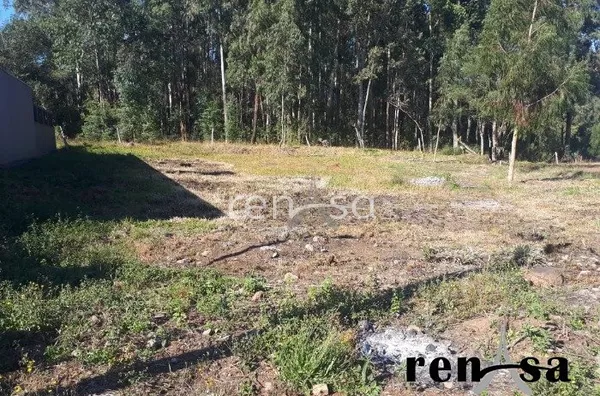 Terreno, Desvio Rizzo, Caxias do Sul