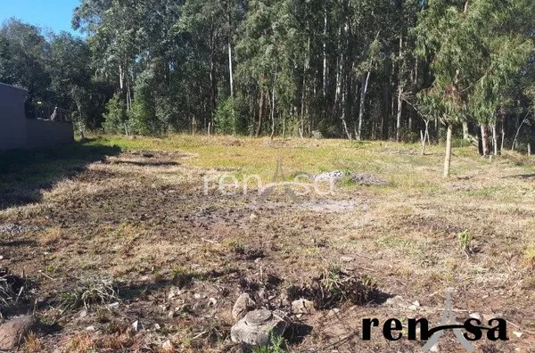 Terreno, Desvio Rizzo, Caxias do Sul