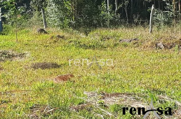 Terreno, Desvio Rizzo, Caxias do Sul
