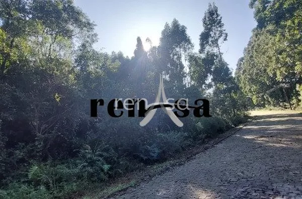 Terreno, Desvio Rizzo, Caxias do Sul