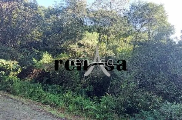 Terreno, Desvio Rizzo, Caxias do Sul