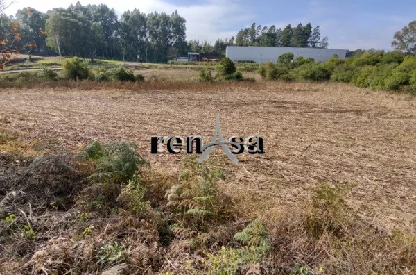 Terreno FORQUETA CAXIAS DO SUL