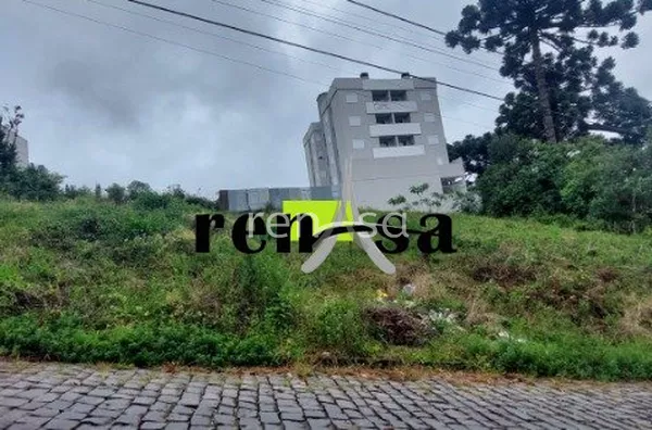 Terreno Salgado Filho  CAXIAS DO SUL