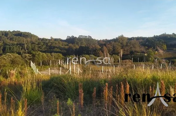 Terreno DESVIO RIZZO CAXIAS DO SUL-RS