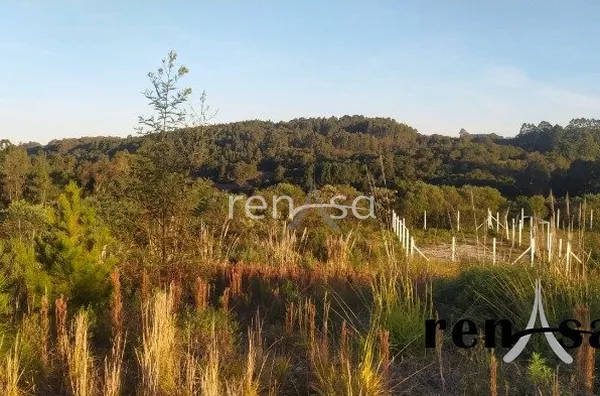 Terreno DESVIO RIZZO CAXIAS DO SUL-RS