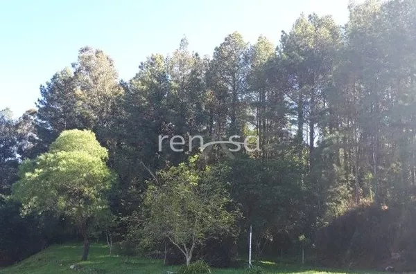 Terreno, Colina Sorriso, Caxias do Sul