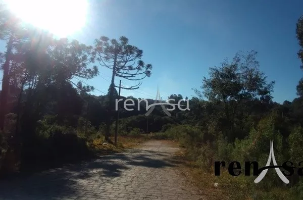 Terreno, Desvio Rizzo, Caxias do Sul