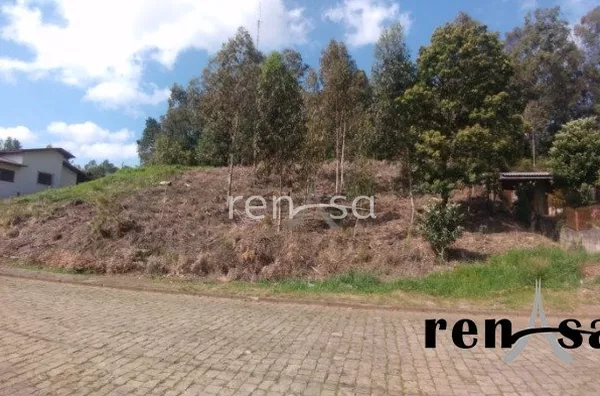 Terreno, Nossa Senhora da Saúde, Caxias do Sul