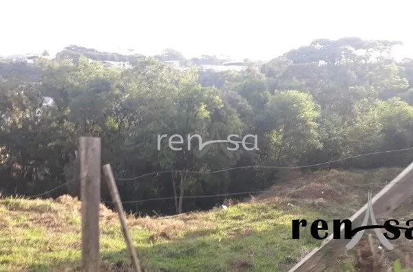 Terreno para Venda, Vila Horn, Caxias do Sul