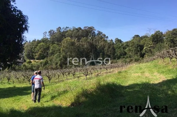 Terreno, De Zorzi, Caxias do Sul