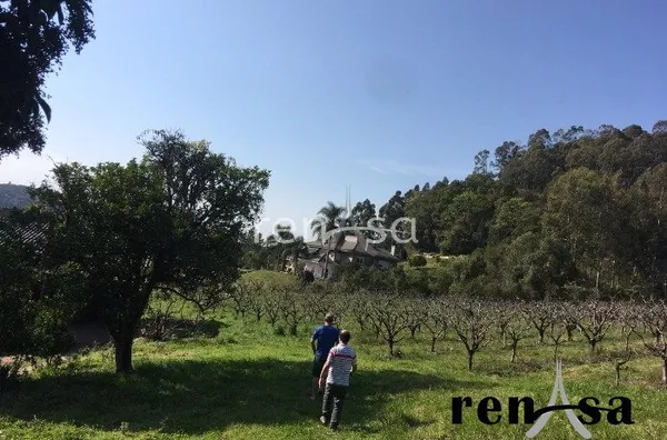 Terreno, De Zorzi, Caxias do Sul