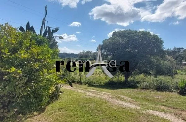 WhatsApp Image 2022-04-19 at 16.10