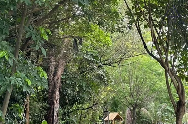 Apartamento para venda, 3 quarto(s),  Tatuapé, São Paulo - Foto 3