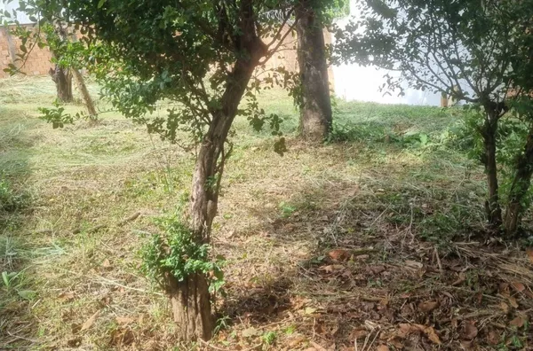 Terreno para venda,  Trevo, Belo Horizonte