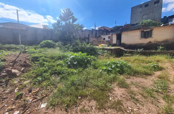 Oportunidade Estratégica para Construtoras: Terreno de 506m² no Bairro Jardim Guanabara