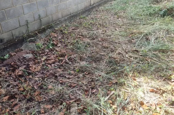 Terreno para venda,  Trevo, Belo Horizonte