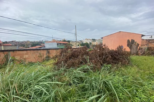 para ,  - Selecione - Bairro, Belo Horizonte - Foto 6