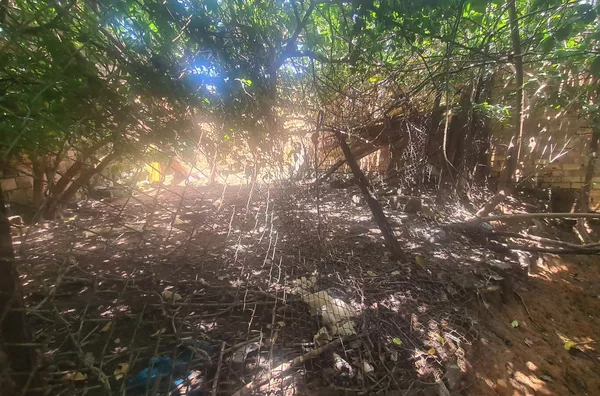 Terreno para venda,  Santa Monica, Belo Horizonte - Foto 4