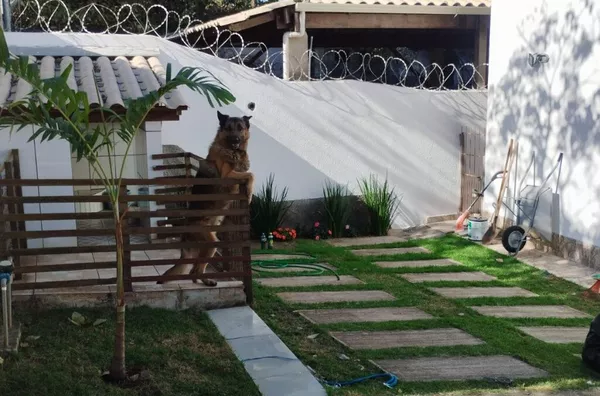 Casa para venda, 3 quarto(s), São José Da Lapa - Foto 61