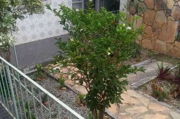 Casa para venda, 3 quarto(s),  Pompéia, Belo Horizonte - Foto 6