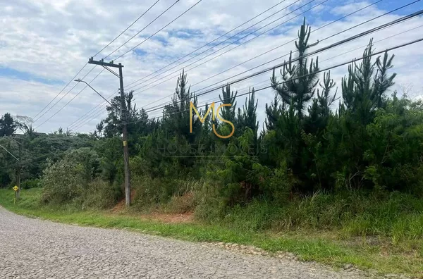 Terreno para venda,  Paisagem Renoir, Cotia - Foto 1