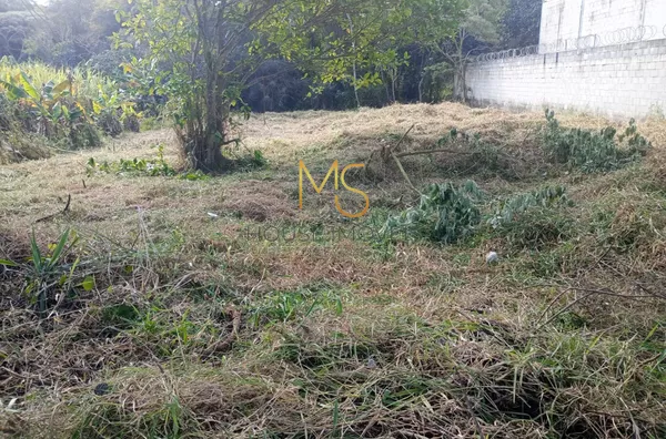 Terreno para venda,  - Selecione - Bairro, Cotia - Foto 6