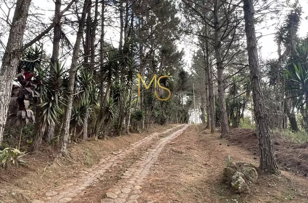 Terreno à venda, 18455 m² por R$ 7.000.000,00 - Taboleiro Verde - Cotia/SP - Foto 6