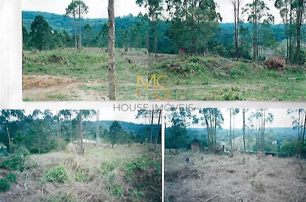 Terreno à venda, 1550 m² por R$ 440.000,00 - Invernada - Embu das Artes/SP - Foto 4