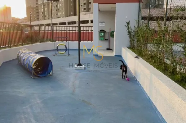Área pet