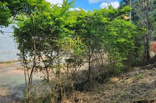 Terreno para venda,  Granja Viana, Cotia - Foto 4