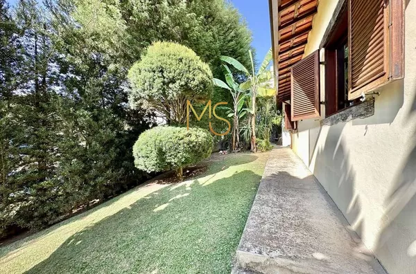 Vista lateral