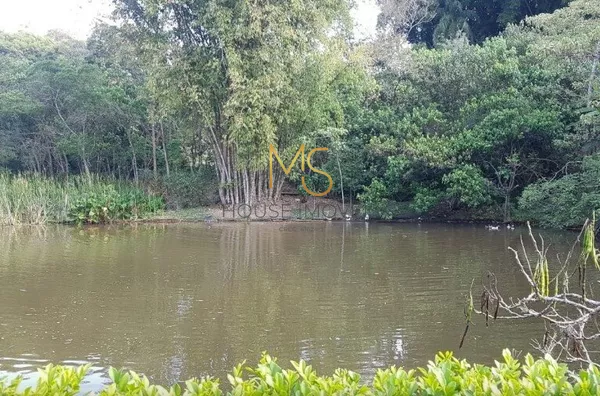 Lago