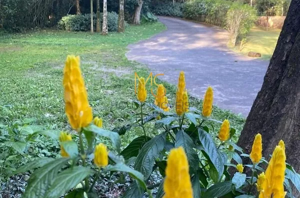 Casa em condomínio para aluguel, 3 quarto(s),  Jardim Panorama, Cotia - Foto 6