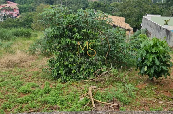 Terreno para venda,  Nova Caieiras, Caieiras - Foto 2