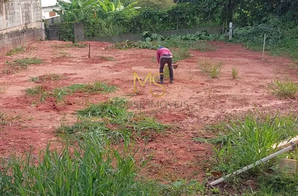 Terreno para venda,  Jardim Colibri, Cotia - Foto 4