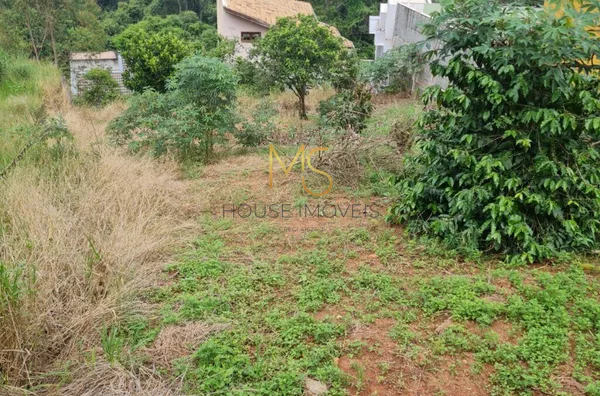 Terreno para venda,  Nova Caieiras, Caieiras - Foto 3